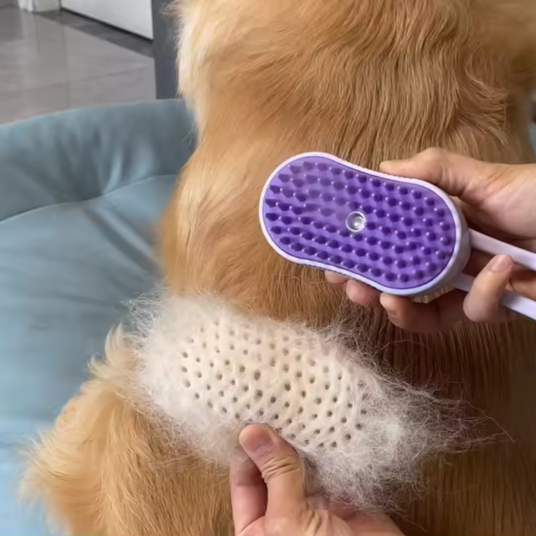 New Pet Spray Comb for Cats and Dogs Pet Electric Spray Hair Removal Comb One Key Spray Anti-Flying Massage Brush, Clean Massage